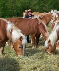 Centro equestre Badia di Moscheta