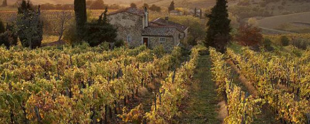 Tappa toscana Giro d’Italia 2016 in Chianti