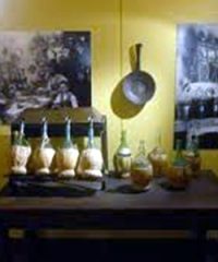 Museo della Vite e del Vino