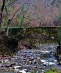 Riserva naturale Alto Carigiola