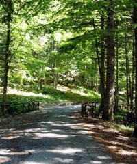 Riserva Naturale di Campolino