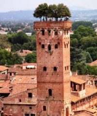 Torre Guinigi