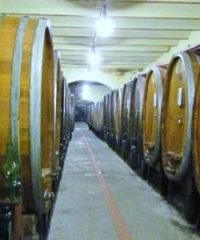 Museo della Vite e del Vino
