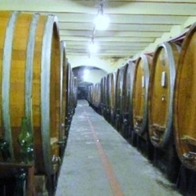 Museo della Vite e del Vino