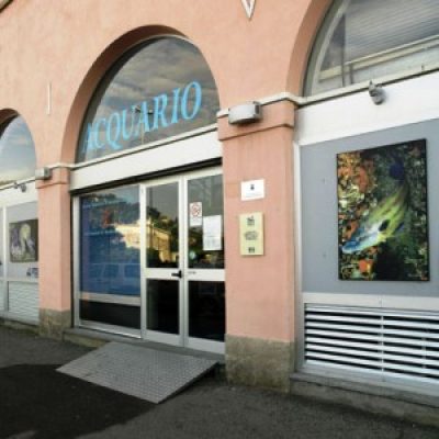 Acquario Mediterraneo della Costa d&#8217;Argento