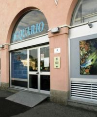 Acquario Mediterraneo della Costa d’Argento