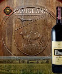 Camigliano vini