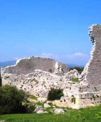 Tour all’area archeologica di Cosa