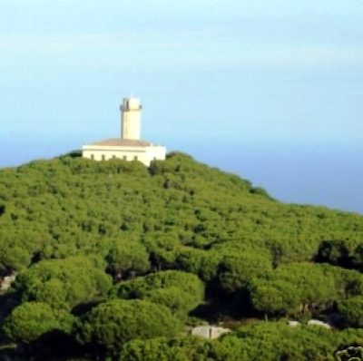 Faro delle Vaccherecce