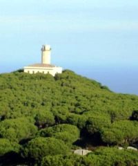 Faro delle Vaccherecce