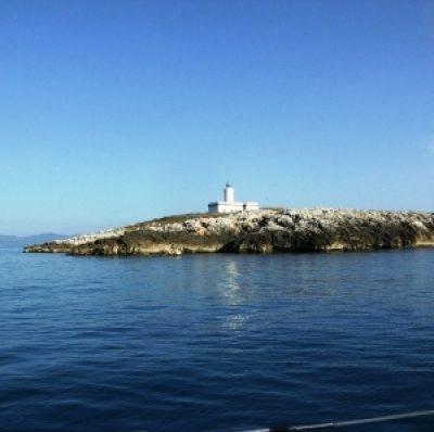 Formiche di Grosseto