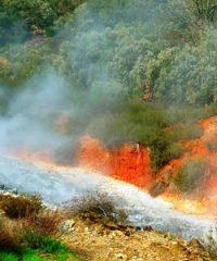 MUBAI – Museo delle Biancane