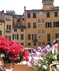 Tour  nel centro storico di Lucca