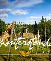 Azienda Agricola Monterotondo