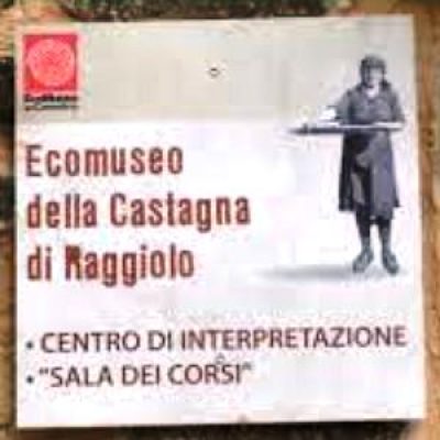 museo della Castagna