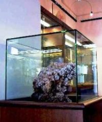 Museo di Minerali Alfeo Ricci