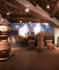 Museo della Terracotta