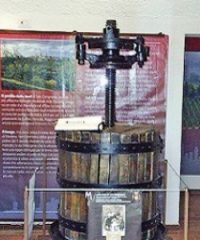 Museo del Vino e della Vernaccia