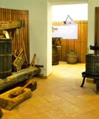 Museo della Vite e del Vino di Montenero d’Orcia