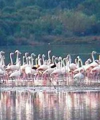 Riserva Naturale della Laguna di Orbetello