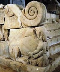 Tour del Parco archeologico di Cortona