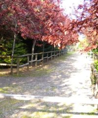 Centro Faunistico Bioparco Gallorose