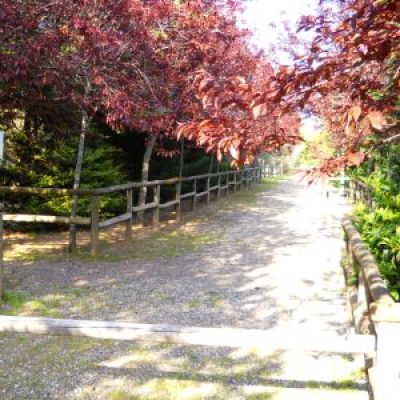 Centro Faunistico Bioparco Gallorose