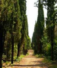 Parco della Magona