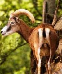 Parco Naturale di Cavriglia