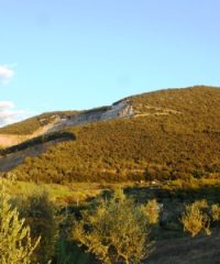Parco Naturalistico di Monte Calvo