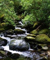 Parco forestale di Poggio Neri