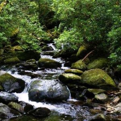 Parco forestale di Poggio Neri