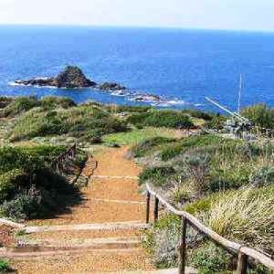 Parco di Punta Falcone