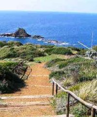 Parco di Punta Falcone