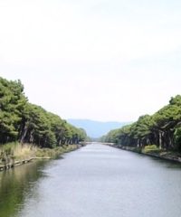 Parco Regionale Migliarino San Rossore Massaciuccoli