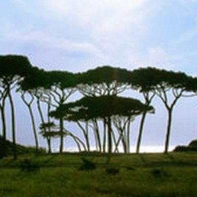 Parco della Sterpaia