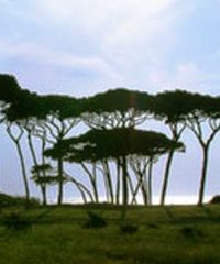 Parco della Sterpaia