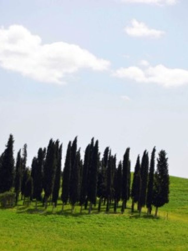 CRETE SENESI E VAL D’ORCIA