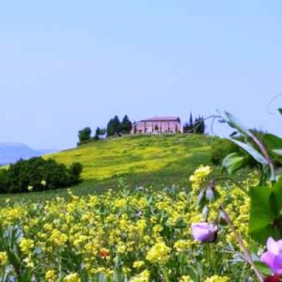 Parco Artistico e Culturale della Val d’Orcia