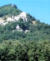 Riserva naturale “Alta Valle del Tevere – Montenero”