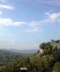 Riserva naturalistica di Berignone e la foresta di Tatti