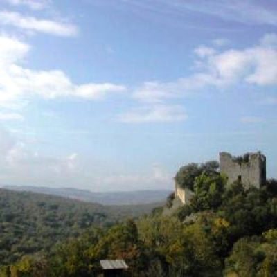 Riserva naturalistica di Berignone e la foresta di Tatti