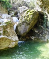 Riserva Naturale Cornate e Fosini