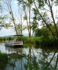 Riserva naturale del lago di Montepulciano
