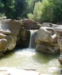 Riserva naturale di Merse