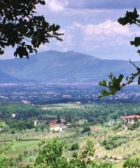 Percorso da Leonardo a Pinocchio