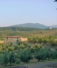Riserva naturale di Monteferrato
