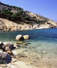 Riserva Naturale Isola di Montecristo