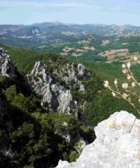 Riserva naturale Rocconi