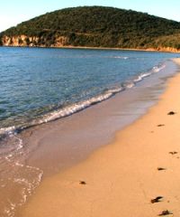 Riserva naturale Scarlino